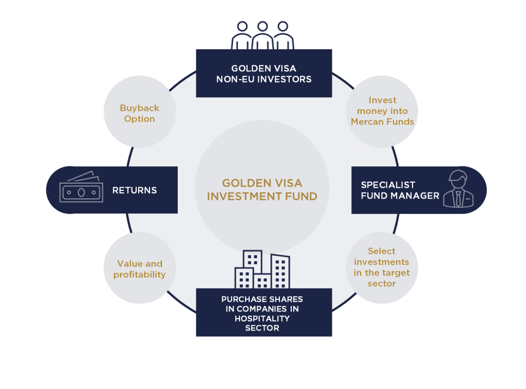 what is a private equity fund-infographic - Mercan Group